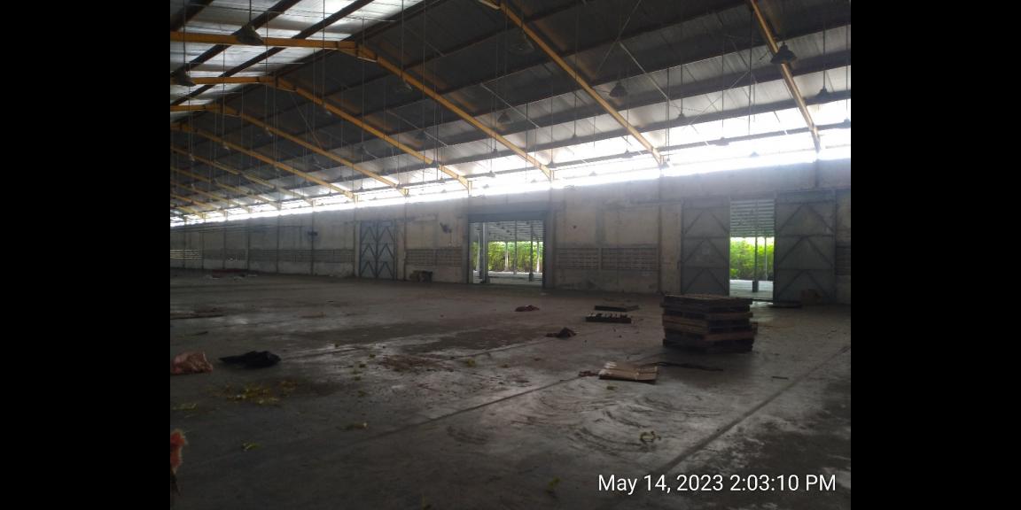 Disewakan Gudang Luas di Tambak Sawah, Sidoarjo Disewakan Gudang Luas di Tambak Sawah, Sidoarjo