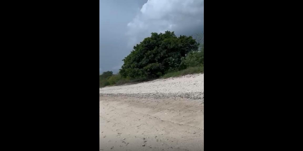 Dijual Tanah Pinggir Pantai di Bima, Sumbawa, NTB Dijual Tanah Pinggir Pantai di Bima, Sumbawa, NTB