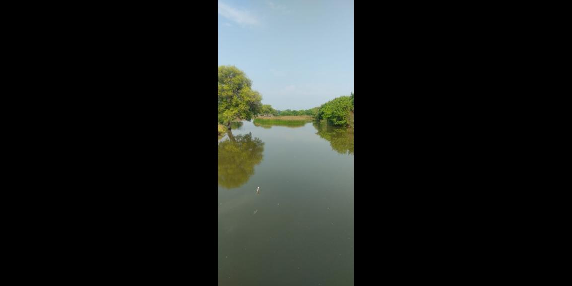 Dijual Tambak Udang Vaname & Bandeng di Dinas Perikanan, Pasuruan Dijual Tambak Udang Vaname & Bandeng di Dinas Perikanan, Pasuruan