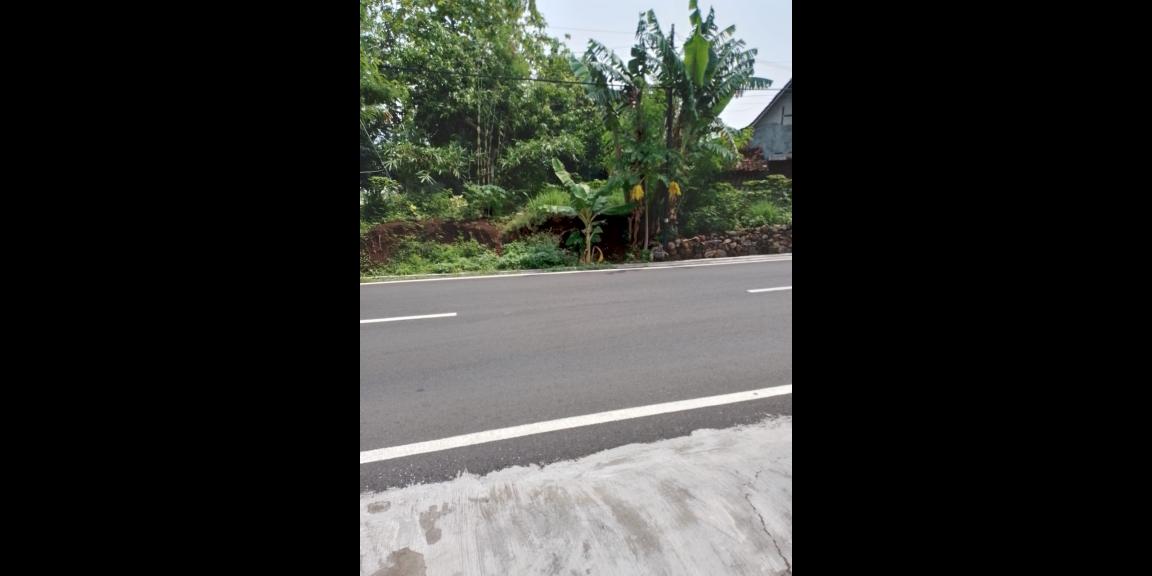 Tanah Strategis 223m Pinggir Jalan Raya Kedawung Sragen Tanah Strategis 223m Pinggir Jalan Raya Kedawung Sragen
