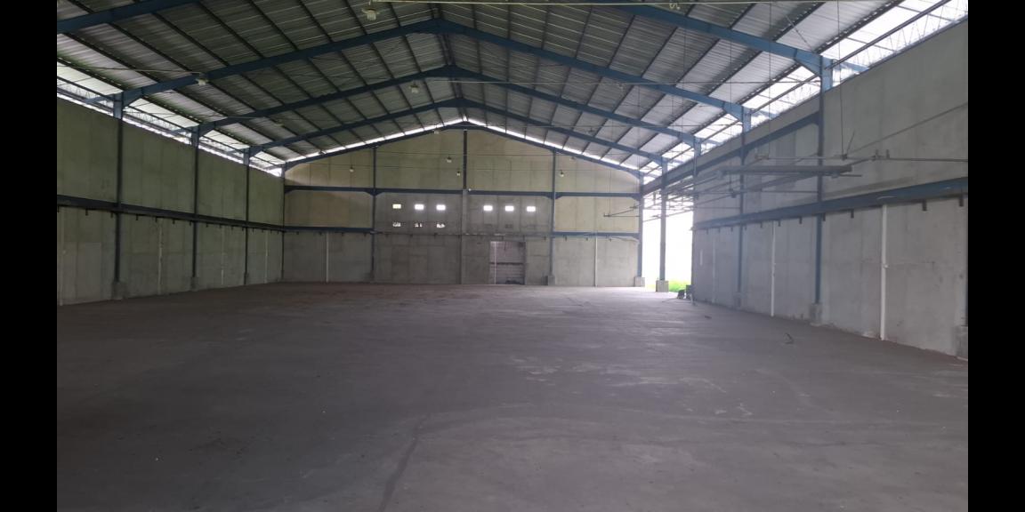 Disewakan Gudang Siap Pakai di Ngoro, Mojokerto Disewakan Gudang Siap Pakai di Ngoro, Mojokerto