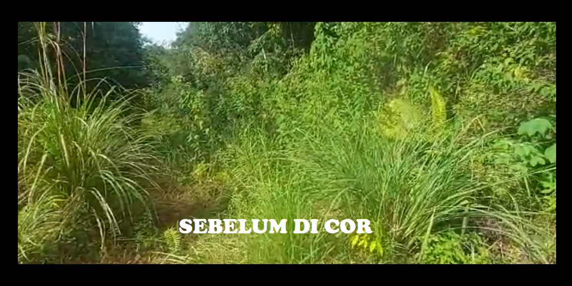 TANAH MURAH STRATEGIS DI SEPINGGAN PT HER BALIKPAPAN TANAH MURAH STRATEGIS DI SEPINGGAN PT HER BALIKPAPAN