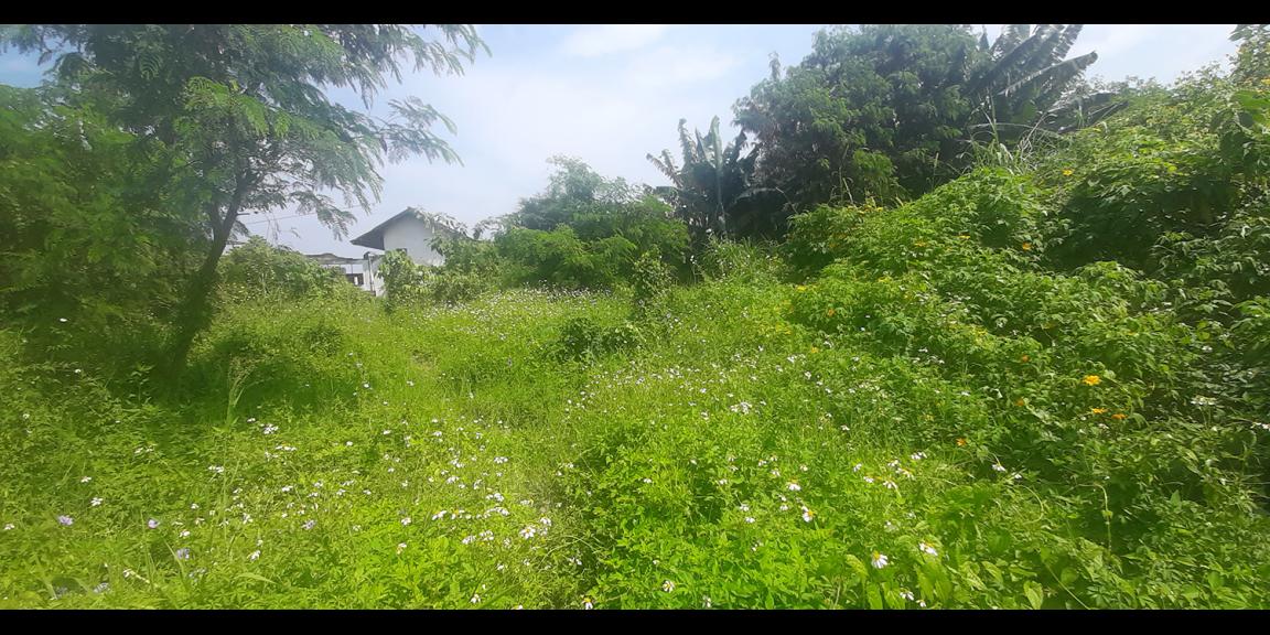 TANAH PADAT MAIN ROAD AHMAD YANI KOTA BANDUNG TANAH PADAT MAIN ROAD AHMAD YANI KOTA BANDUNG