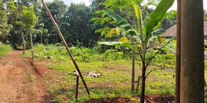 DIJUAL TANAH CIJENGKOL BEKASI