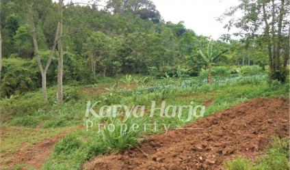 Tanah 1 hektar Mojogedang Karanganyar
