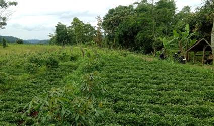 TANAH UNTUK PERUMAHAN DAN PERMUKIMAN DEKAT GT. PAMULIHAN TANJUNGSARI SUMEDANG