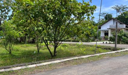 Tanah 80 Juta Bonus Kebun Buah Karanganyar