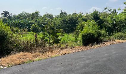 Tanah Kebun Buah 2020m² Kedawung Sragen