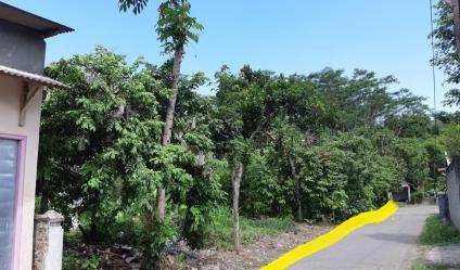 Butuh Uang, Tanah Pekarangan Dijual Ukutan 4.355 m2 Sanankulon Blitar