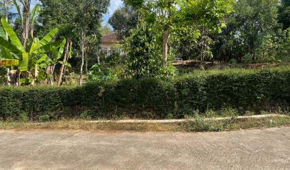 Tanah 2200m² Hanya 400 Juta Selatan Pasar Mojogedang