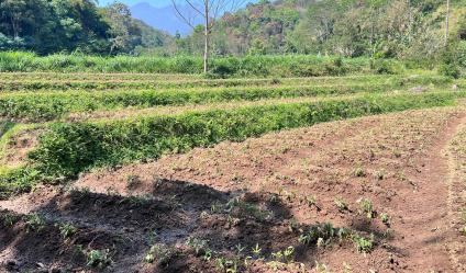 Tanah Dekat Aliran Sungai Kawasan Wisata Ngargoyoso