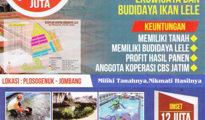 Beli Properti Dibayar Lele -    Miliki Tanahnya Dan Nikmati Hasilnya