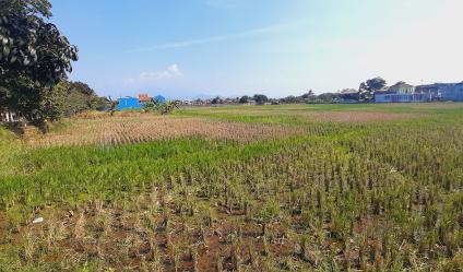TANAH DI GEDEBAGE KOTA BANDUNG