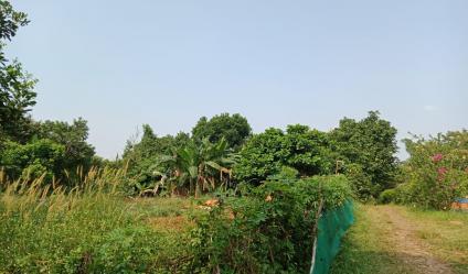 Tanah 3600 m2 murah di Jatimulya Depok