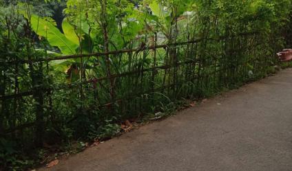 Jual tanah murah di Pondok Rajeg Cibinong