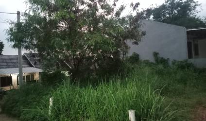 Jual tanah murah 95 m2 di Pondok Rajeg Cibinong