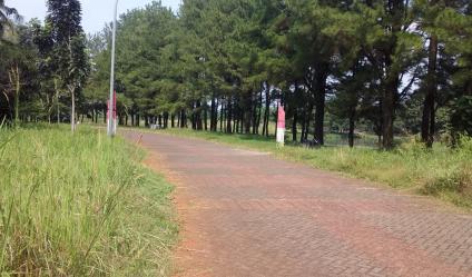 Tanah 1557 m2 Perumahan Billabong Bogor