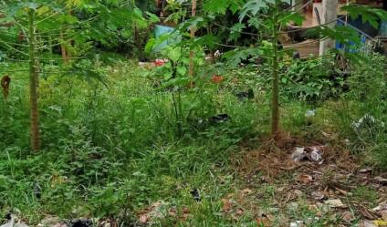 Tanah murah 100 m2 di Kalibaru Depok 