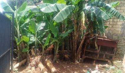 Tanah 140 m2 di Kalibaru Depok sudah tembok keliling