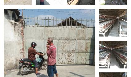 BU Mendesak, Dijual cepat kandang ayam Di Ponggok Kab. Blita