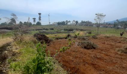 TANAH PADAT KAWASAN PEMUKIMAN  DI TANJUNGSARI, SUMEDANG