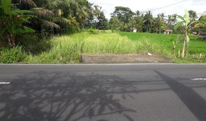 Dijual tanah di jalan utama Kedewatan ubud