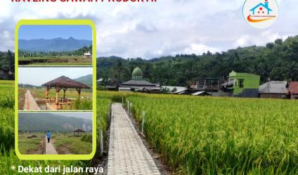 Kavling Sawah murah Harmoni Farm Ville