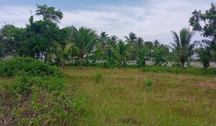 Dijual kavling hotel murah di kawasan ekonomi khusus Tanjung Lesung