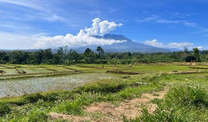 Jual Tanah 234m Kerjo Karanganyar