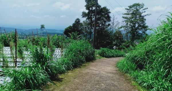 Dijual Tanah 345m² Kemuning Ngargoyoso Karanganyar