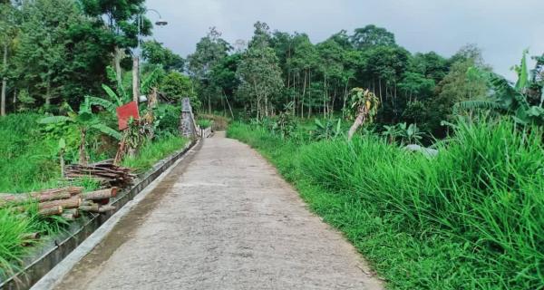 Jual Tanah 225m² View Perbukitan Kemuning Ngargoyoso Karanganyar