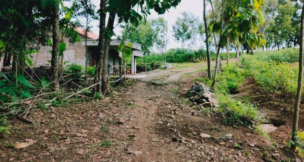 Dijual Tanah 3328m² 250juta Kebakkramat Karanganyar