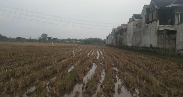 Dijual Tanah Strategis di Desa Langenharjo, Sukoharjo