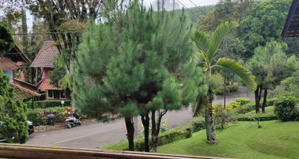 Jual Villa Murah SHM Daerah Grand Trawas Mojokerto