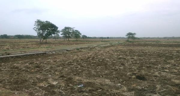 TANAH UNTUK PERUMAHAN DAN PERMUKIMAN  DEKAT BANDARA INTERNATIONAL KERTAJATI-MAJALENGKA 