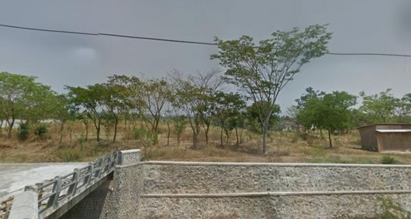 Tanah Kosong Cocok Untuk Pabrik Raya Purwodadi Pasuruan