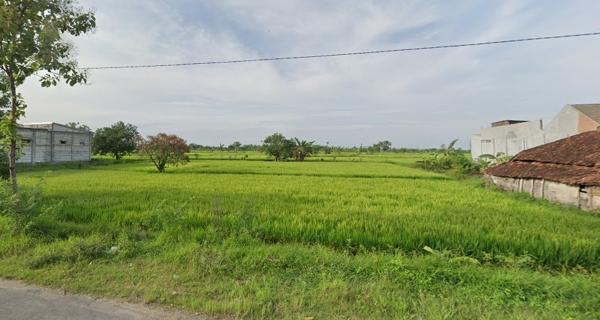 Jual Tanah Kavling Industri Nol Jalan Raya Balongpanggang Gresik