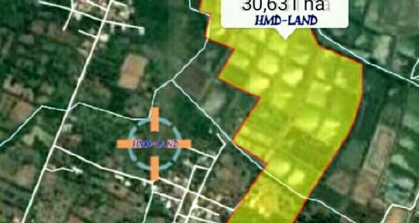 Jual Tanah Sangat Luas di Raya Daendles Lamongan