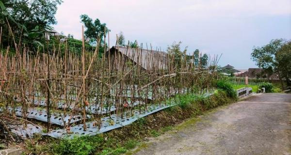 Dijual Tanah 284m² Kemuning Ngargoyoso Karanganyar