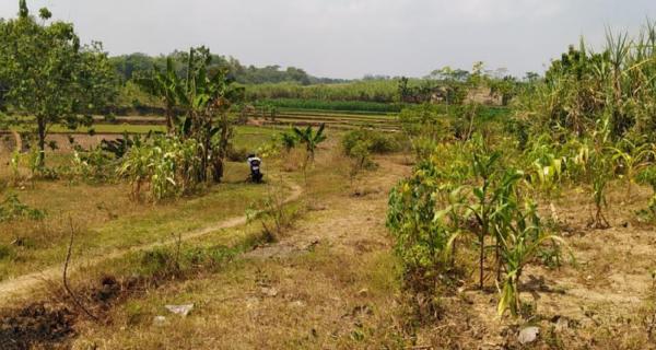 Jual Tanah Strategis di Desa Langen Harjo Sukoharjo