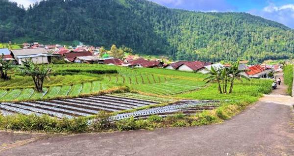 Tanah Idaman Cocok Untuk Villa Wisata Tawangmangu