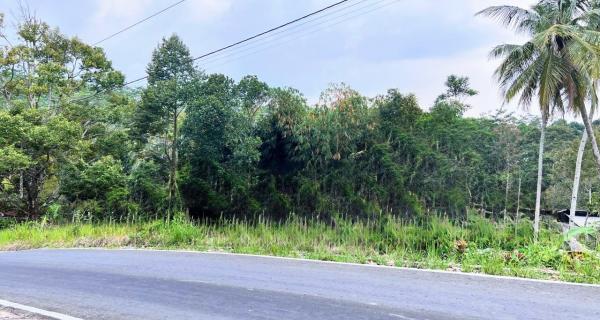 Tanah 250 Juta Tepi Jl Kerjo- Kemuning Karanganyar 