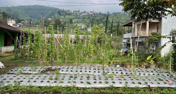  Tanah 175 Juta Siap Bangun Villa Kemuning 