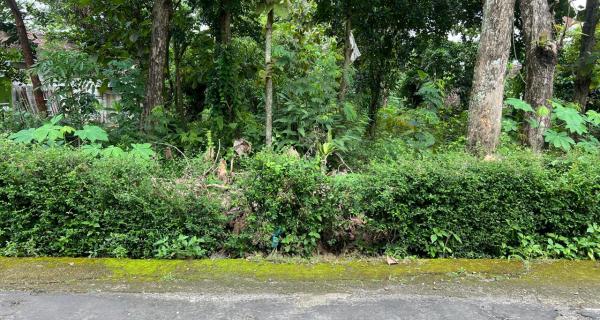 Tanah Datar 539m² Dekat Kecamatan Kerjo, Karanganyar 