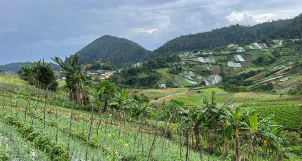 Tanah 300 Juta Siap Bangun Villa Tawangmangu 
