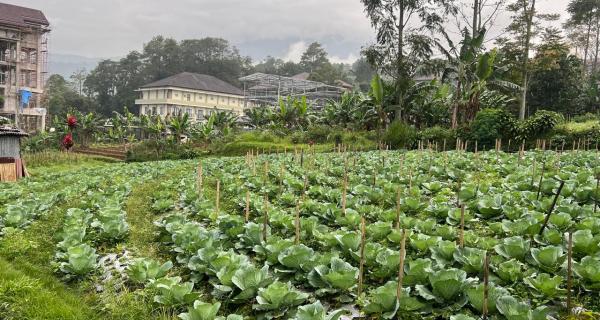 Tanah 300m² Kawasan Wisata Strategis Tawangmangu 