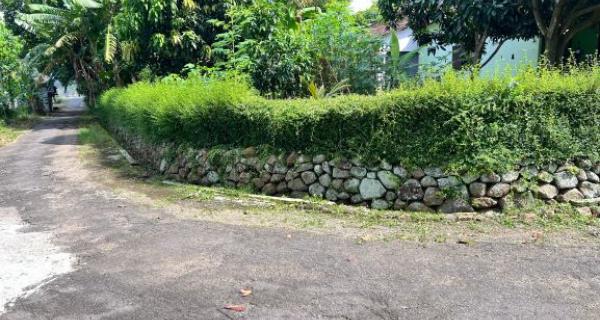 Tanah Datar View Hamparan Sawah Kedawung, Sragen 