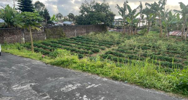 Tanah Datar Tawangmangu, Karanganyar 216m²