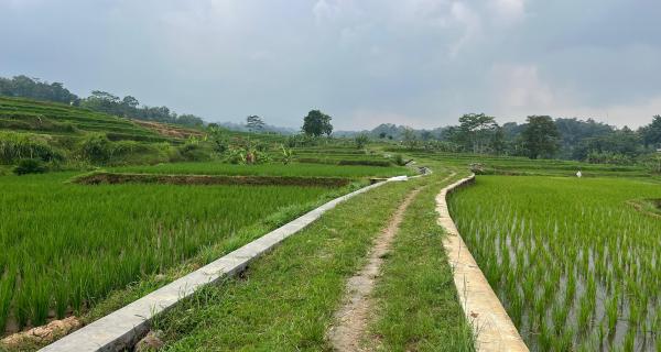 Tanah Murah 911m² 75 Juta Karanganyar, Solo 