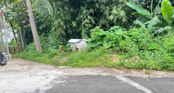  Pekarangan 225 Juta Cocok untuk Kebun Buah Ngargoyoso